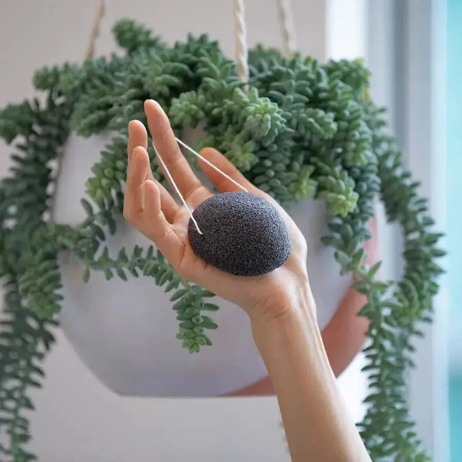 Konjac Facial Sponge - Charcoal Plantish