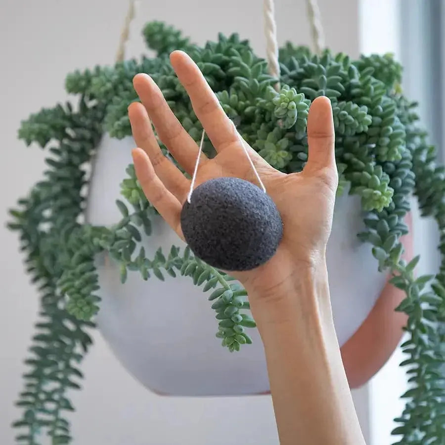 Konjac Facial Sponge - Charcoal Plantish