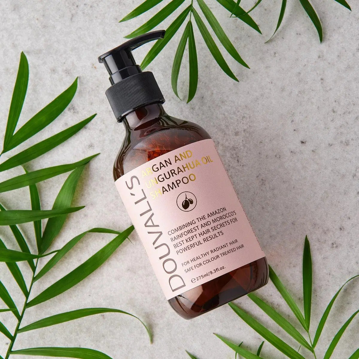 Argan and Ungurahua oil Shampoo 275ml | Restorative and Nourishing Hair Care Douvalls Beauty