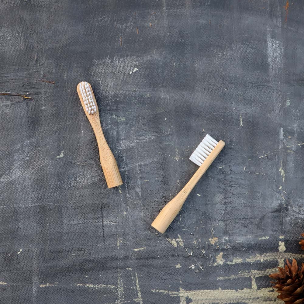 Refillable Bamboo Toothbrush (Canada Only) Plantish