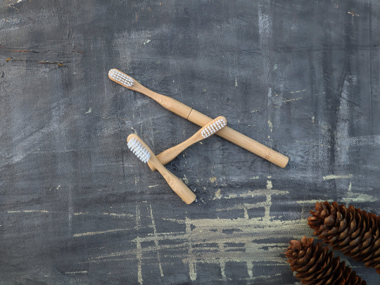 Refillable Bamboo Toothbrush (Canada Only) Plantish