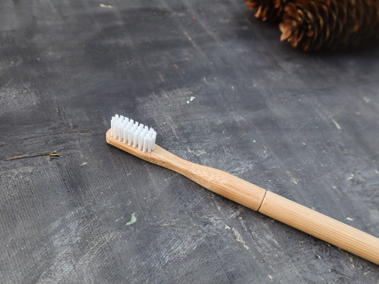 Refillable Bamboo Toothbrush (Canada Only) Plantish